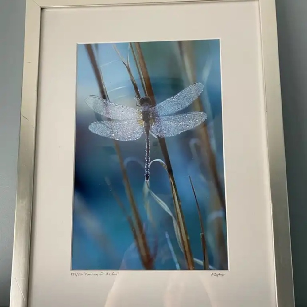 Patrick Zephyr framed and signed print
